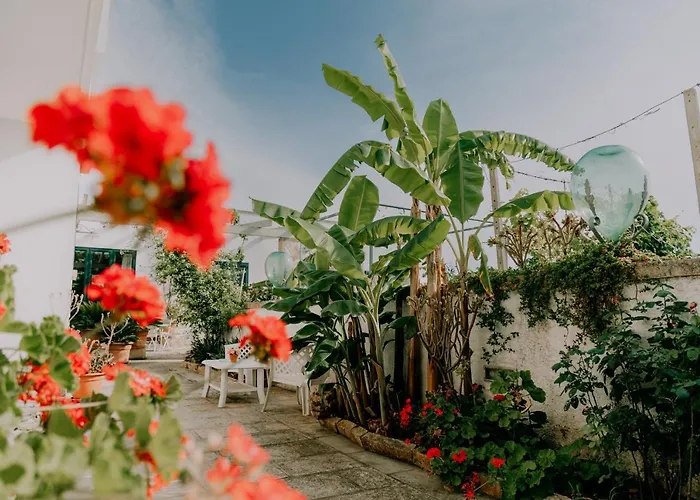 Masseria Agriturismo Il Sorriso Degli Ulivi - Dimora di Charme